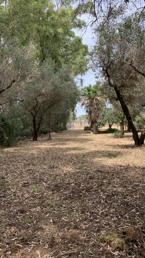 Tenuta Sidore