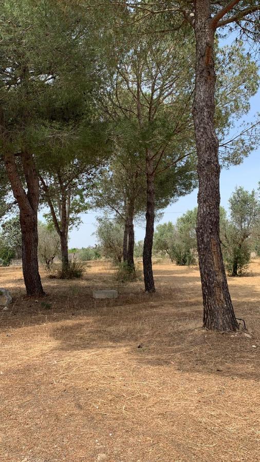 Apartment Tenuta Sidore *